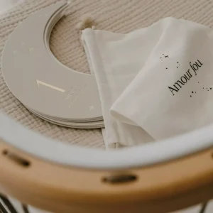 Cartes étapes première année de bébé