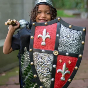 Bouclier de chevalier